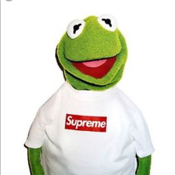 Meet your Posher, Paige - Picture 1 of 1